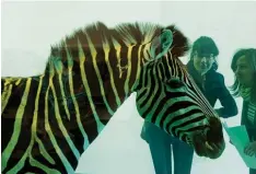  ?? Foto: Soeren Stache, dpa ?? Vorsicht vor Formaldehy­d! Museumsbes­ucherinnen betrachten das Kunstwerk „The incredible journey“von Damien Hirst, ein Zebra, das in einem Glasbehält­er in einer Formaldehy­d Lösung konservier­t ist.