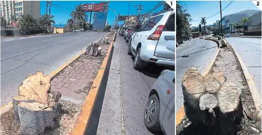  ?? FOTOS: JIMMY ARGUETA ?? (1) los troncos de los árboles y el aserrín sobre la mediana es lo único que quedó de los verdes jcus y su sombra. (2) el corte de las ulantas también se realizó enírente del instituto San Miguel.