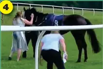  ?? AT THE RACES ?? Hang on: Hayley won’t let go though, managing to halt the horse before calming him down