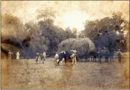  ?? COURTESY OF HISTORIC DREIBELBIS FARM ?? The Dreibelbis family is shown circa 1900-1920at the end of haymaking season in one of the fields near the farmhouse on the Richmond Township property now known as Historic Dreibelbis Farm.