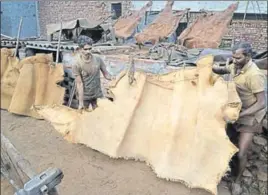  ??  ?? Workers spreading processed leather for drying at Boota Mandi in Jalandhar. Locals have alleged that tanneries in Jalandhar district were dischargin­g effluents into drains. HT FILE