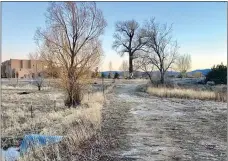  ?? GEOFFREY PLANT/Taos News ?? The same massive cottonwood tree stands in the distance in a 1986 photo (left) of the Taos Valley Ranch, then called the McCarthy Ranch, and in a photo (right) taken from the same spot last week.