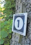  ??  ?? Was im Bereich der Ulmer Straße gut ausgeschil­dert beginnt, endet einige Hundert Meter weiter oben in der Wildnis: der Wanderweg 1 in Ochsenhaus­en.