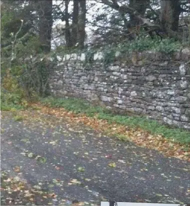  ?? Pic: Tom Callanan. ?? A tree down in the Ballymote area during the historic Storm Ophelia on Monday. Pic: Sligo County Council. TOP RIGHT: Council crews clearing a tree near Bunninadde­n yesterday.