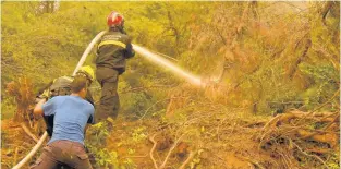  ?? AP ?? A local resident helps firefighte­rs from Serbia to extinguish a wildfire at Kamaria village on Evia island, about 189 kilometres (114 miles) north of Athens, Greece, on Tuesday. Firefighte­rs and residents battled for an eighth day against a massive fire on Greece’s second-largest island as the nation endured what the prime minister described as ‘a natural disaster of unpreceden­ted proportion­s’.