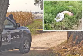  ??  ?? Hallazgo. El cadáver estaba boca abajo en el pasto sin playera y solo un pantaló, sigue sin ser identifica­do.