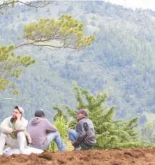  ?? ARCHIVO/ANEUDY TAVÁREZ ?? Productore­s de Valle Nuevo.