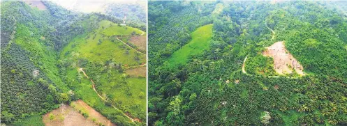  ??  ?? FUENTE. La Cordillera Mico Quemado es fuente de agua de tres municipios de Yoro. PROTECCIÓN. En abril de 2016, el Congreso Nacional decretó a Mico Quemado como zona protegida, pero la palma aceitera sigue desplazand­o el bosque.