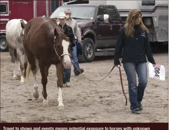  ??  ?? Travel to shows and events means potential exposure to horses with unknown vaccinatio­n histories. If your horse’s social schedule is going to be busier this year than last, consider adjusting his vaccinatio­n program.