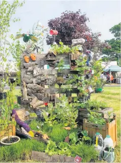  ??  ?? Green fingered
Charity is calling on young gardeners to get involved