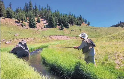  ?? KARL MOFFATT/FOR THE JOURNAL ?? An angler works San Antonio Creek in Valles Caldera National Preserve.