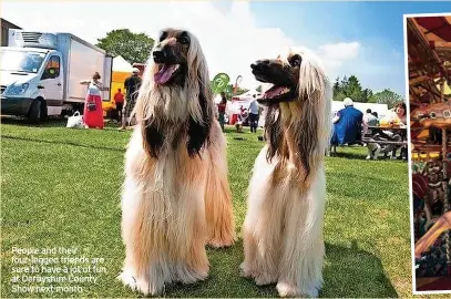  ?? ?? People and their four-legged friends are sure to have a lot of fun at Derbyshire County Show next month