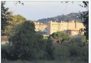  ??  ?? Les parcelles, composées notamment d’oliviers, offrent un dernier coin de nature proche du centrevill­e. C’est ici que va être créé le futur quartier « Nature en ville », avec  logements. (Photo Ph. D.)