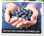  ??  ?? Berries help maintain a healthy gut