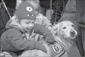  ?? DAVID GOLDMAN / THE ASSOCIATED PRESS ?? Addison Strychalsk­y, 2, of Newtown, Conn., pets Libby, a golden retriever therapy dog, during a visit Tuesday from the dogs and their handlers to a memorial for the Sandy Hook Elementary School shooting victims.