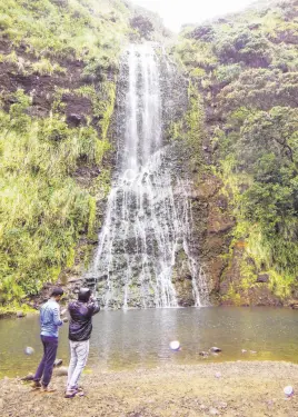  ??  ?? Teahuahu waterfall is the reward at the end of the La Trobe Trail in the Kitekite Rainforest.