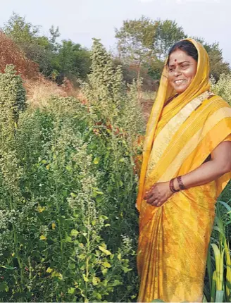  ??  ?? SHAILAJA NARWADE with her first crop of quinoa. She hopes to sell the quinoa seeds, which are much in demand, for a substantia­l profit.