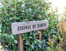  ?? SIMON O’CONNOR/STUFF ?? The Essence of Hareta is a perfumed garden.