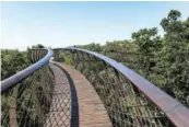  ?? PICTURE: PICTURIST2­1/123RF.COM ?? The footbridge in Kirstenbos­ch Botanical Garden, Cape Town.