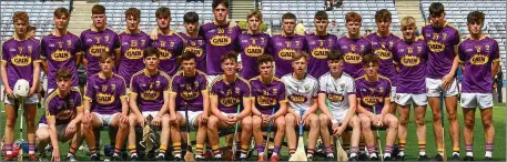 ??  ?? Last year’s Leinster-winning Wexford Minor hurling squad. The survivors face a tough defence of their title in the knockout semi-final.