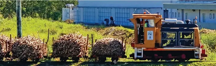 80% burnt cane supplied to Labasa Mill - PressReader