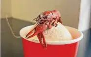  ?? Erica Grieder ?? Red Circle Ice Cream serves crawfish ice cream as a seasonal flavor during spring break.