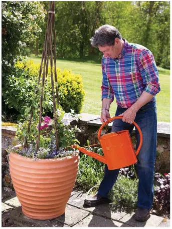  ??  ?? Water the pot well after planting, making sure that the compost never dries out