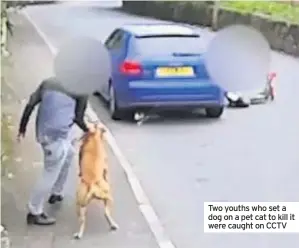  ??  ?? Two youths who set a dog on a pet cat to kill it were caught on CCTV