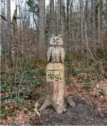  ?? ?? Die Eule Högl begrüßt Besucher am Walderlebn­ispfad bei Ried.