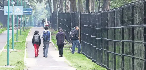  ??  ?? Autoridade­s universita­rias informaron que instalan alrededor de un kilómetro y medio de malla metálica de seguridad en distintos puntos de CU, entre ellos Los Frontones y Los Bigotes.