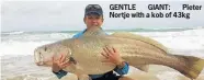  ??  ?? GENTLE GIANT: Pieter Nortje with a kob of 43kg