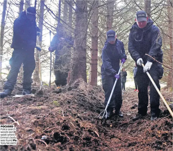  ??  ?? FOCUSED Police search woods last week where Emma’s body was found Pic Tony Nicoletti