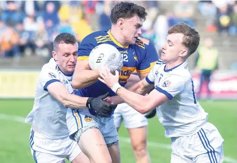 Oylegate are rising through the ranks | Wexford People | PressReade­r