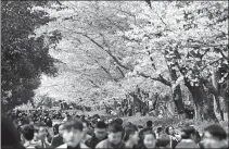  ?? PROVIDED TO CHINA DAILY ?? Visitors admire cherry blossoms at Wuhan University (left) in Wuhan, Hubei province, and at the West Lake in Hangzhou, Zhejiang province, this
March.