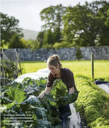  ??  ?? Jo has been working for chefs for 15 years and her knowledge of the pure flavour of vegetables is second to none