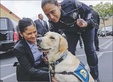  ?? Irfan Khan Los Angeles Times ?? MEREDITH, a therapy dog with the Redondo Beach police, is admired by members of the Montebello force at a funeral for a fellow officer. A nonprofit has placed 19 service dogs with criminal justice agencies.