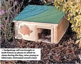  ?? Thompson Morgan ?? Hedgehogs will use bought or built homes as places in which to sleep during the day, raise young or hibernate. Untreated wood is best