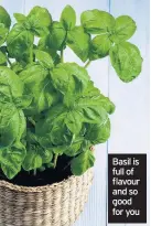  ??  ?? Basil is full of flavour and so good for you