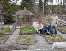  ?? CP PHOTO ?? Stephen Trickett, Chris Langmead and Jack Bishop pose with tulip stalks in this recent handout photo. In a collision of Canadian icons, a hungry moose destroyed a Maple Leaf tulip display planted to mark Canada 150 celebratio­ns in St. John's. The...