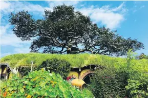  ??  ?? Lord of the Rings fans go bonkers for the Hobbiton movie shire.
