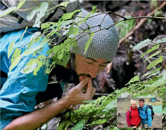  ?? CAMERON BURNELL / STUFF ?? French tourist Vincent Piton is creating a free ‘‘treasure map’’ of edible foods and medicinal plants as he travels along the Te Araroa national walkway. Meanwhile, Tobias Hluchnik and his girlfriend Imke Liebau supplement their diet with organgs and...