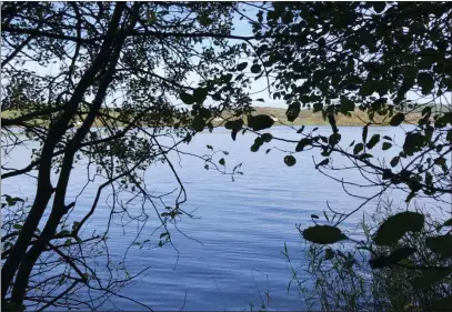  ?? ?? 12-year-old Lucy Muldoon captures Fermanagh and Lough Erne at its very best near Ely Lodge Forest.