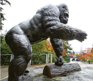  ?? Foto: Ken Lambert, Voxeljet ?? Kaum zu glauben, aber wahr: Auch diese Statue eines Gorillas geht letztlich auf den 3D Druck zurück. Einzelteil­e der Gussform wurden mit einer Voxeljet Maschine gedruckt.
