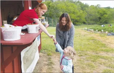  ?? AP PHOTO/CAROLYN KASTER ?? Abby McDonough, 19, a student at Liberty University, left, hands Liela Calloway, 2, with her mother, Sadi Calloway, a sticker at Wegmeyer Farms in Hamilton, Va. Working at Wegmeyer Farms is one of McDonough’s summer jobs. Summer jobs are vanishing as...