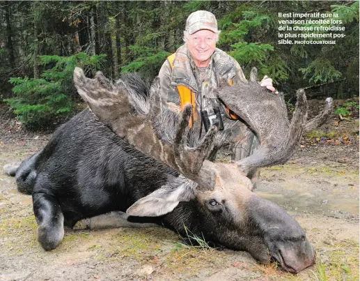  ?? PHOTO COURTOISIE ?? Il est impératif que la venaison récoltée lors de la chasse refroidiss­e le plus rapidement possible.