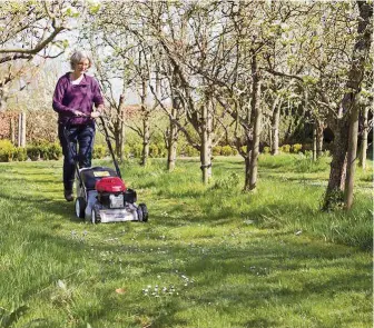  ??  ?? Keep your mower on a high setting until the grass is growing well