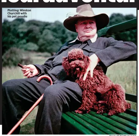  ?? Picture: LIFE PICTURE COLLECTION ?? Plotting: Winston Churchill with his pet poodle