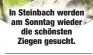  ??  ?? In Steinbach werden am Sonntag wieder die schönsten Ziegen gesucht.