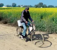  ?? AFP file ?? Earlier, postmen used to pedal their bicycle for kilometres braving rain and scorching heat to distribute letters. —