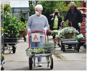  ??  ?? Growth industry...a masked woman shops at a garden centre near Liverpool